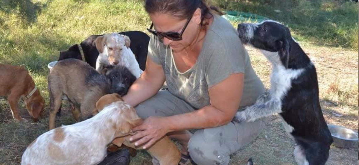 Lekkere olijfolie en een steun voor de honden